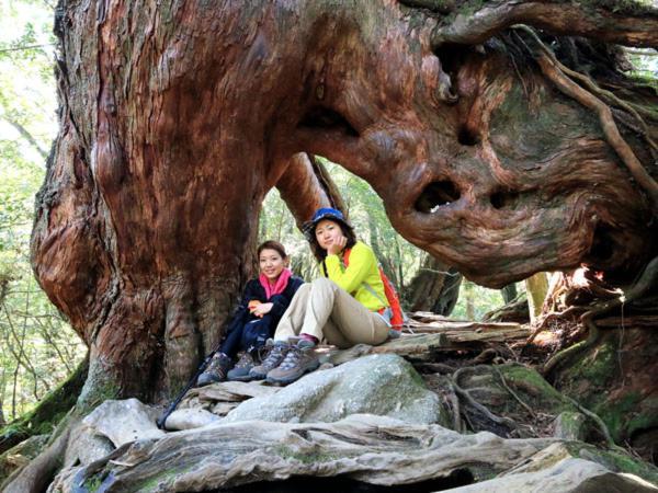 Minshuku Satomachi Guest House Yakushima  Luaran gambar